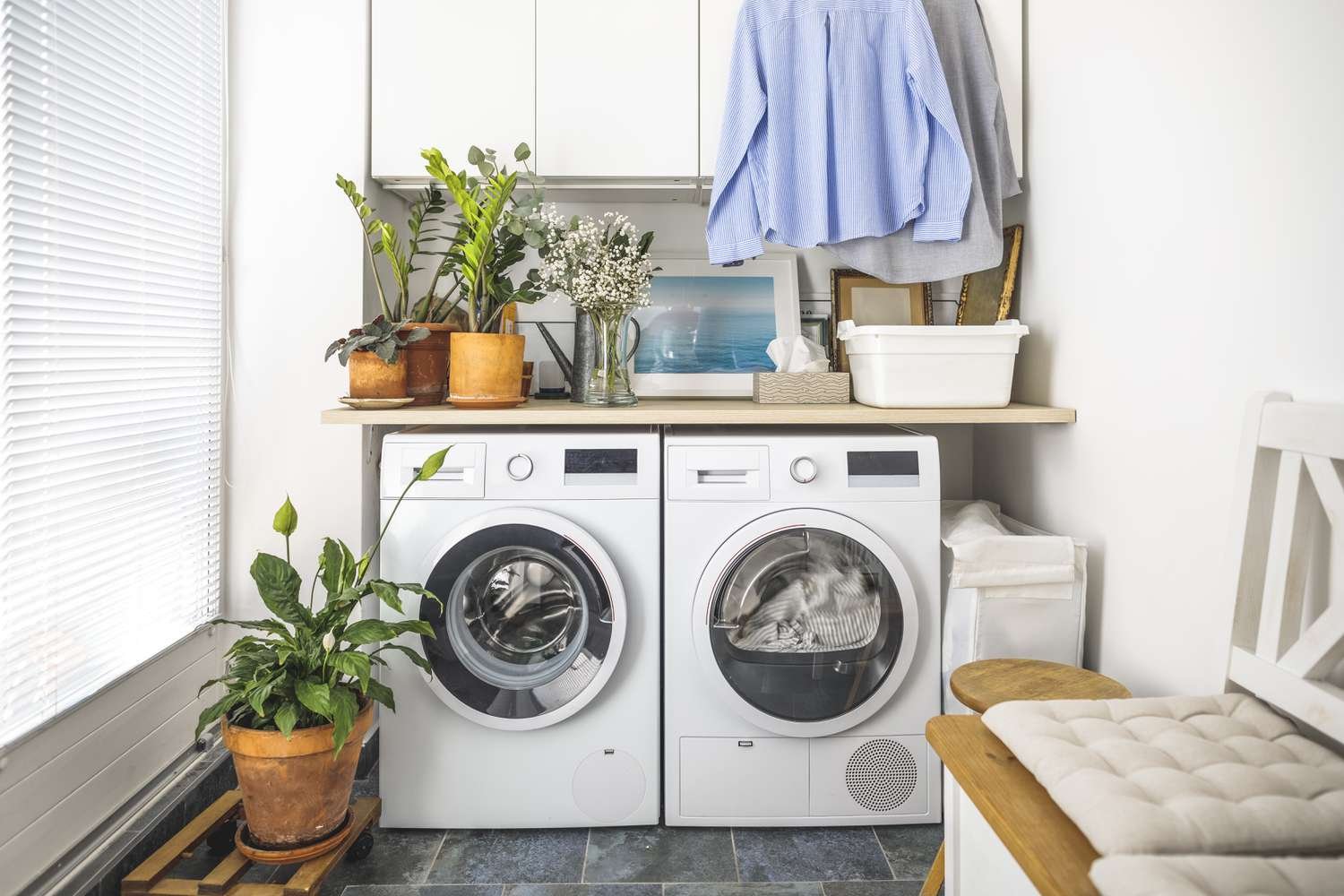 Laundry Training