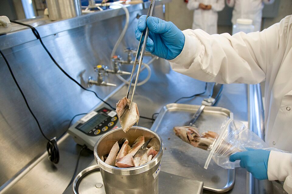 Food Safety Challenges with Confidence